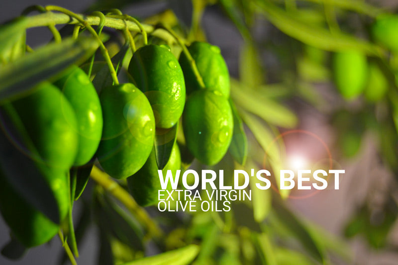 Les meilleures huiles d’olive vierge au monde sont andalouses ?