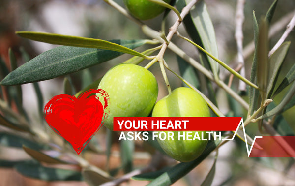 L'huile et la santé ou les bienfaits de l'huile d'olive
